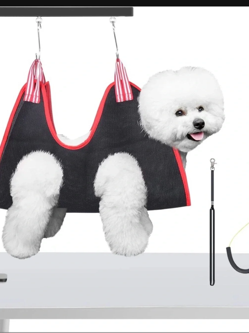 Professional Dog Grooming Noose Restraint - White & Brown Dog